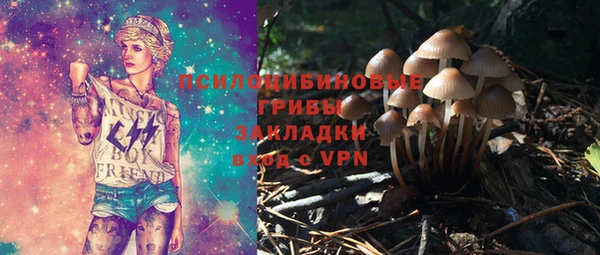 молекула духа Белокуриха