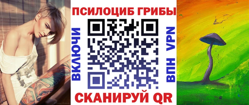 Галлюциногенные грибы мицелий  где найти наркотики  Светлогорск 