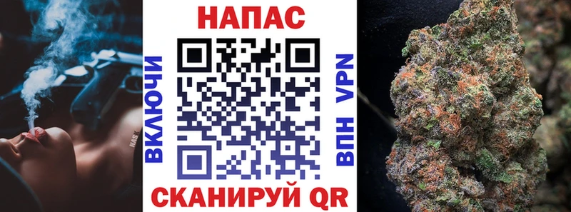 наркошоп  Светлогорск  Бошки марихуана сатива 